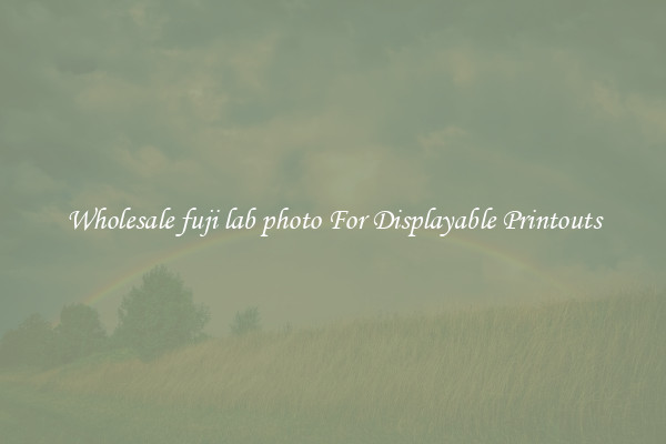 Wholesale fuji lab photo For Displayable Printouts