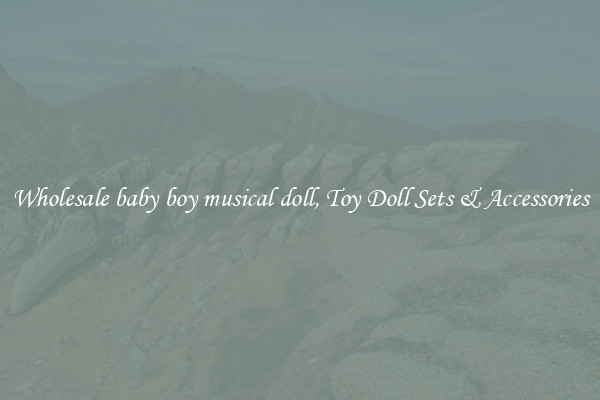 Wholesale baby boy musical doll, Toy Doll Sets & Accessories