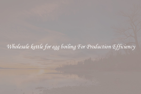 Wholesale kettle for egg boiling For Production Efficiency
