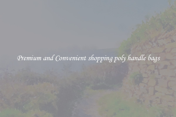 Premium and Convenient shopping poly handle bags