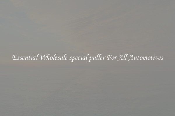 Essential Wholesale special puller For All Automotives