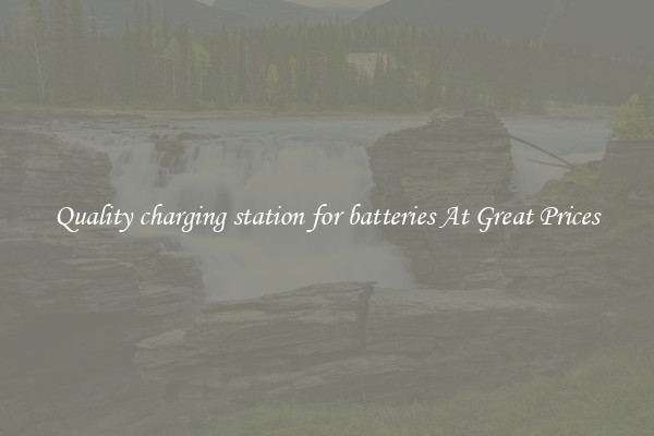 Quality charging station for batteries At Great Prices