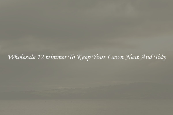 Wholesale 12 trimmer To Keep Your Lawn Neat And Tidy