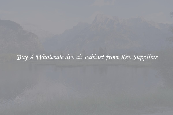 Buy A Wholesale dry air cabinet from Key Suppliers