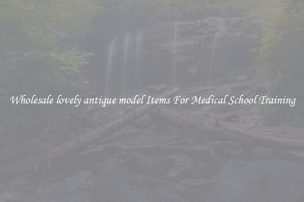 Wholesale lovely antique model Items For Medical School Training