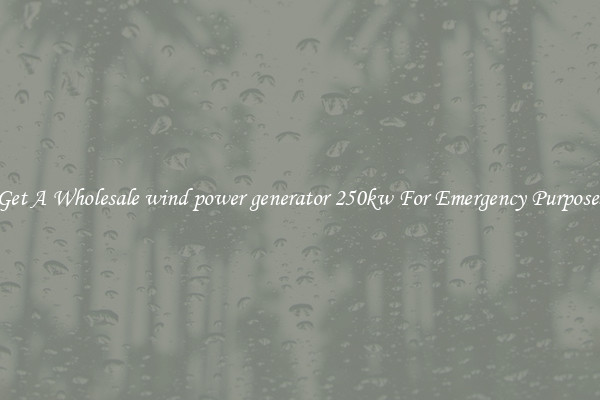 Get A Wholesale wind power generator 250kw For Emergency Purposes