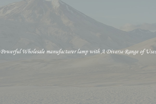 Powerful Wholesale manufacturer lamp with A Diverse Range of Uses