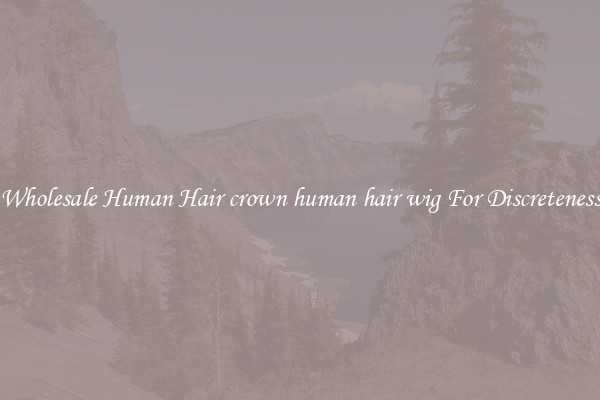Wholesale Human Hair crown human hair wig For Discreteness
