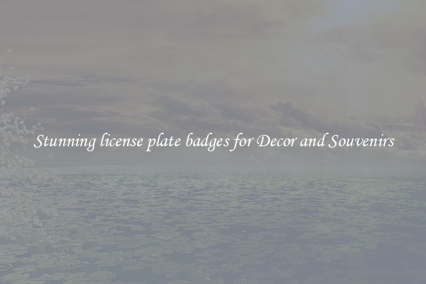 Stunning license plate badges for Decor and Souvenirs