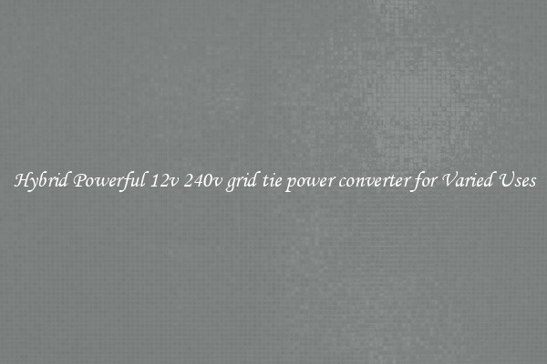 Hybrid Powerful 12v 240v grid tie power converter for Varied Uses