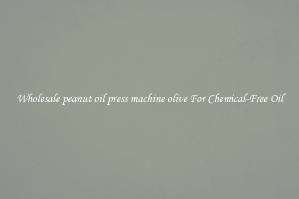 Wholesale peanut oil press machine olive For Chemical-Free Oil