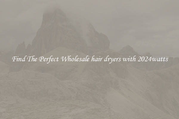 Find The Perfect Wholesale hair dryers with 2024watts