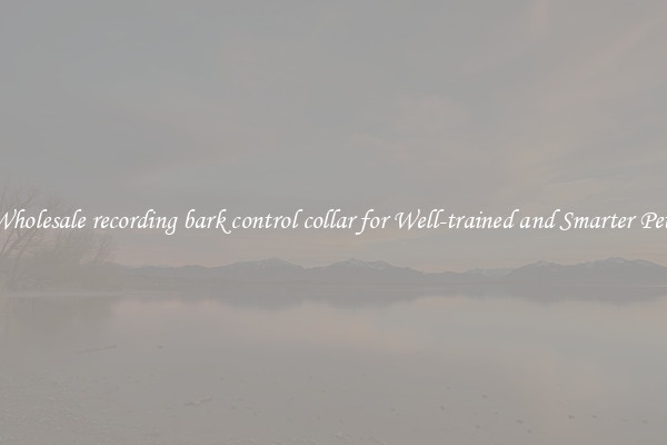 Wholesale recording bark control collar for Well-trained and Smarter Pets