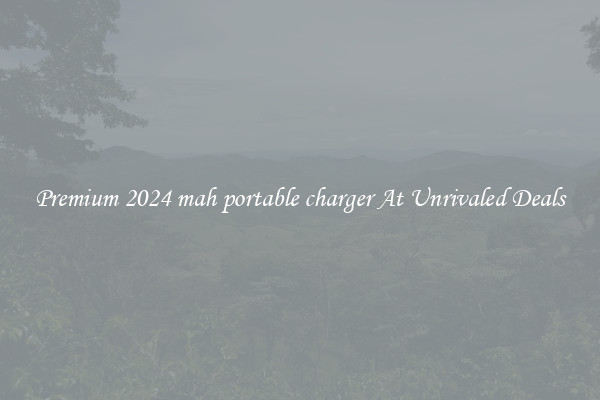 Premium 2024 mah portable charger At Unrivaled Deals
