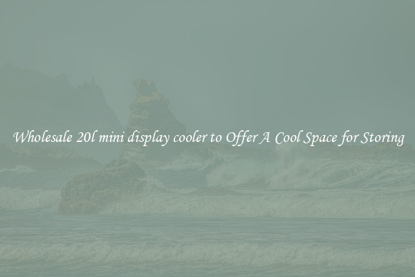 Wholesale 20l mini display cooler to Offer A Cool Space for Storing