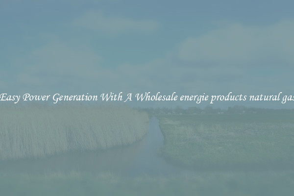 Easy Power Generation With A Wholesale energie products natural gas