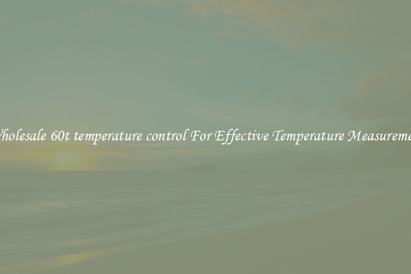 Wholesale 60t temperature control For Effective Temperature Measurement