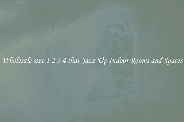 Wholesale size 1 2 3 4 that Jazz Up Indoor Rooms and Spaces