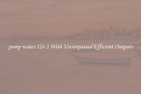 pump water 12v 3 With Unsurpassed Efficient Outputs