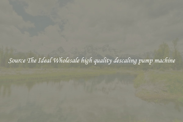 Source The Ideal Wholesale high quality descaling pump machine