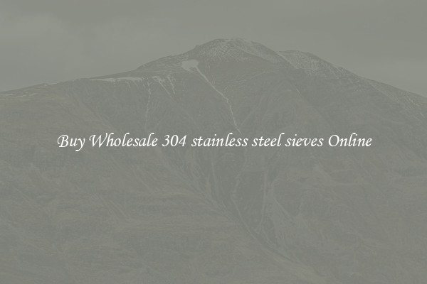 Buy Wholesale 304 stainless steel sieves Online